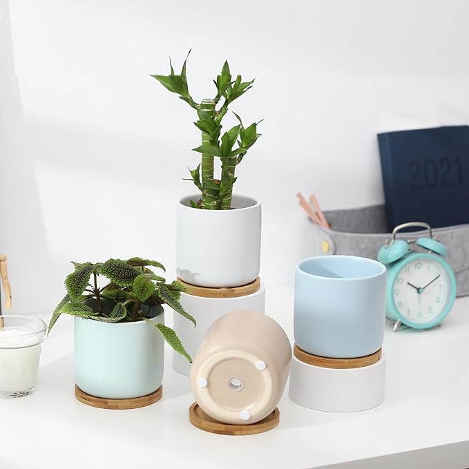 4 Inch Planters with Drainage Hole and Saucer, Small Ceramic Cylinder Plant Pot with Trays for Succulent, Aloe, Cactus & Herbs, Morandi Colors, Set of 4