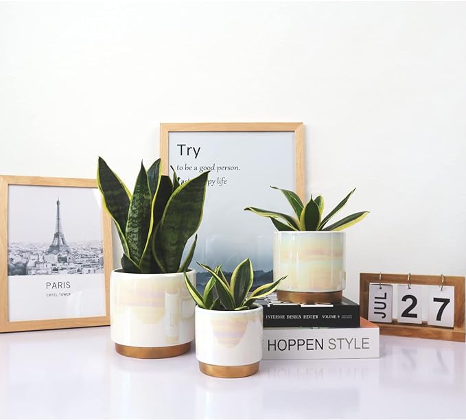 Gepege White Indoor Pots for Plants, Ceramic Planter with Drainage Hole, 6.0 inch+5.0 Inch+4.0 Inch. Succulent Orchid Flower Pot - Rainbow Pearl Glaze