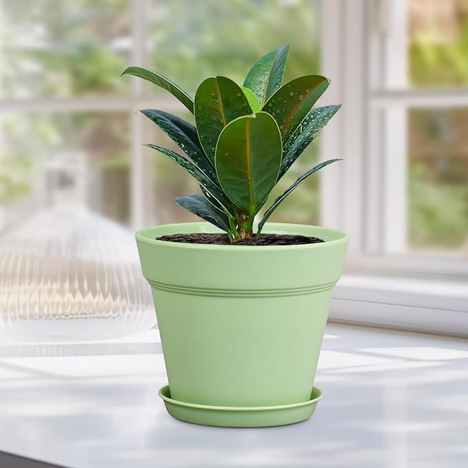 6 inch Plastic Nursery Pots, 16 Pack Plant Pots for Indoor Outdoor Plants, Flower Pots with Drainage Holes and Saucers, Decorative Seedling Starter Planters for House Plants, Colorful