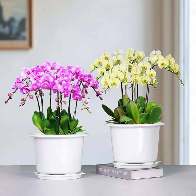 8 Inch Orchid Pots with Holes and Saucers,Double Layer Plastic Large Orchid Planter Pot,Flower Pots for Indoor Outdoor Flower Plants,Orchids,Herbs,Snake Plants and Succulents