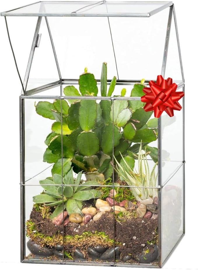 D'Eco Glass Geometric Plant Terrarium (6"x5"x11") - Indoor Tabletop Black Hinged Roof Planter Terrarium for Succulents, Air Plants, Moss - Home, Garden, Wedding & Office Decor- Gift for Plant Lovers
