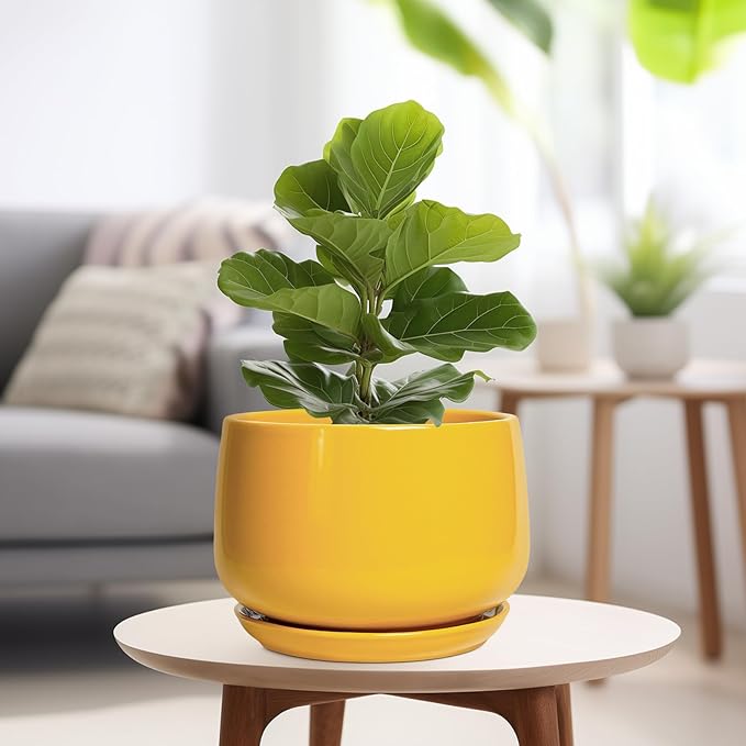 G EPGardening Ceramic Flower Pot - 9 Inch Plant Pots for Indoor Outdoor Plants, Round Ceramic Planter with Drainage and Plant Saucer, Modern Planter, Home Office Decor, Garden Gifts, Yellow