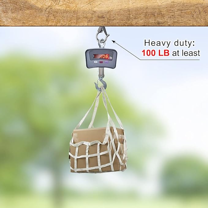 BeneLabel 4Pcs Wall Mount Ceiling Plant Hanger Hooks, Outdoor Hanging Brackets for Hanging Plant Light Outdoor Wire Fairy Lights Wind Chimes Bird Feeders, Safety Buckle Design, 3 1/4"