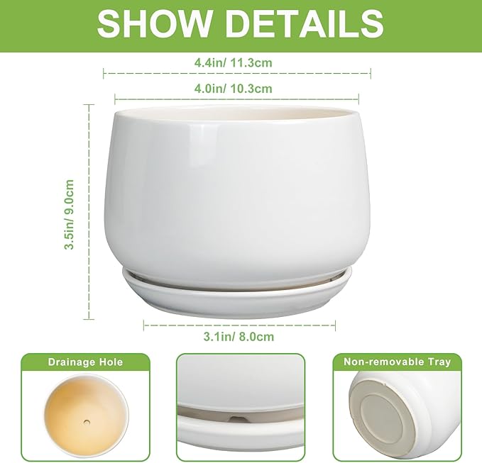 G EPGardening Ceramic Plants Pots - 4 inch Succulent Pots for Indoor Outdoor, Small Planter with Drainage Hole & Saucer, Round Planter, Modern Flower Pot, Office Decor, Plant Lovers Gifts, White