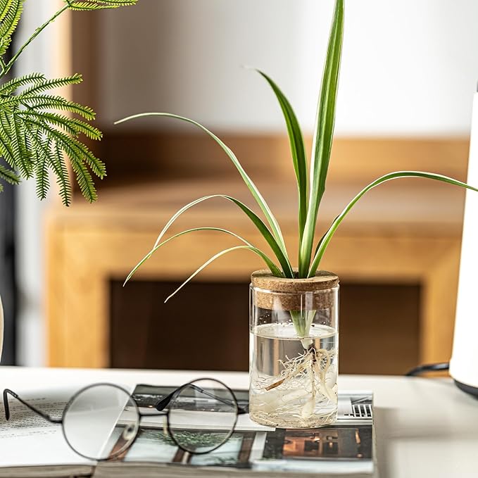 Glass Plant Propagation Stations for Plants – Set of 4(2 Large & 2 Small) Hydroponic Vases for Plant Cuttings,Flower Arrangements, Home & Office Decor–Desktop Vases for Living Room, Bedroom (4)