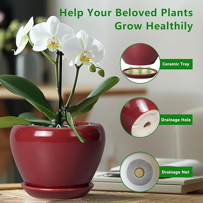 Ceramic Planter - 8 Inch Plant Pot Indoor with Drainage Hole and Saucer Planter for Outdoor Plants Round Flower Pot for House Patio Decor Red