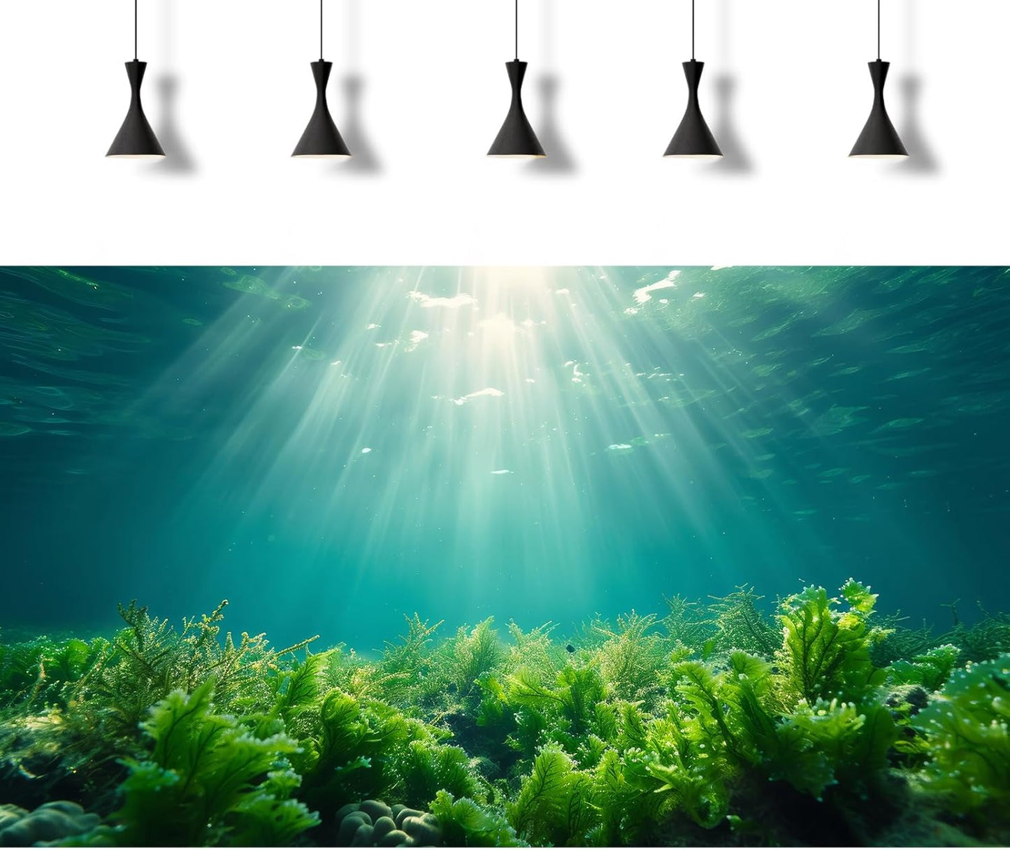 Deep Ocean Fish Tank Background Under The Sea Aquatic Plants Aquarium Background Underwater Corals Sunray Terrarium Backgrounds Tropical Fish Ocean World Aquarium Backgrounds Decorations 48x20in