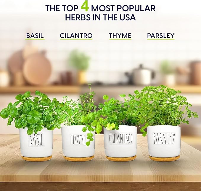 Deluxe Ceramic Indoor Herb Kit 4 Set. Variety Herbs for Indoor & Outdoor – Get Growing with Pots, Potting Soil for Window Herb Garden. (Ceramic Edition)