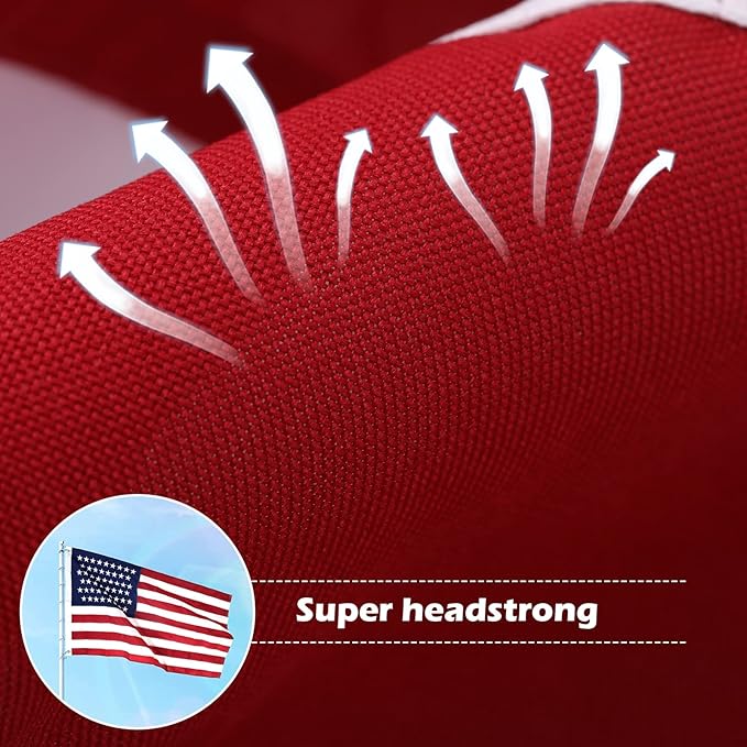 American Flag 10x15 Ft Deluxe Water Resistant Series Made From Heavy Duty Super Tough Spun Polyester/Embroidered Stars/Sewn Stripes/Brass Grommets,US Flags Perfect for Outside