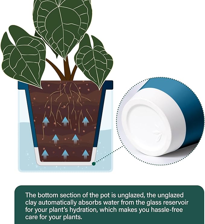 D'vine Dev 6 Inch Design Self Watering Planter for Indoor Plants, Blue Terracotta Pot with Cylinder Glass Cup, 37-X-B-4