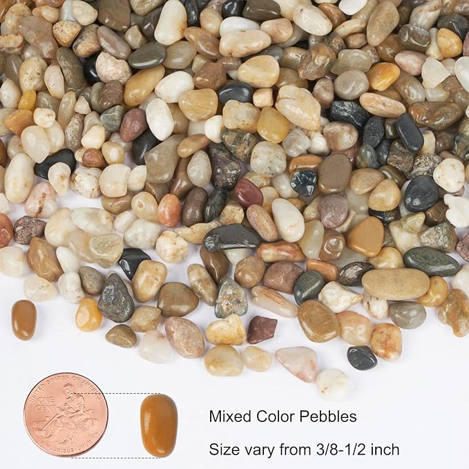 GASPRO 5 Pound Pebbles for Indoor Plants, 3/8 Inch Decorative Rocks for Vase, Succulents, Highly Polished, Mixed Color