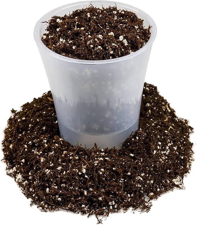 Fern + Perlite Soil Mix for Repotting and Planting Succulents and Cactuses - 2 Quart Bag
