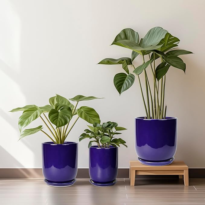 Ceramic Planter - 12 Inch Pots for Plants Ceramic Plant Pot Indoor with Drainage Hole and Saucer Large Planter Flower Pot Outdoor for Home Garden Decor Blue