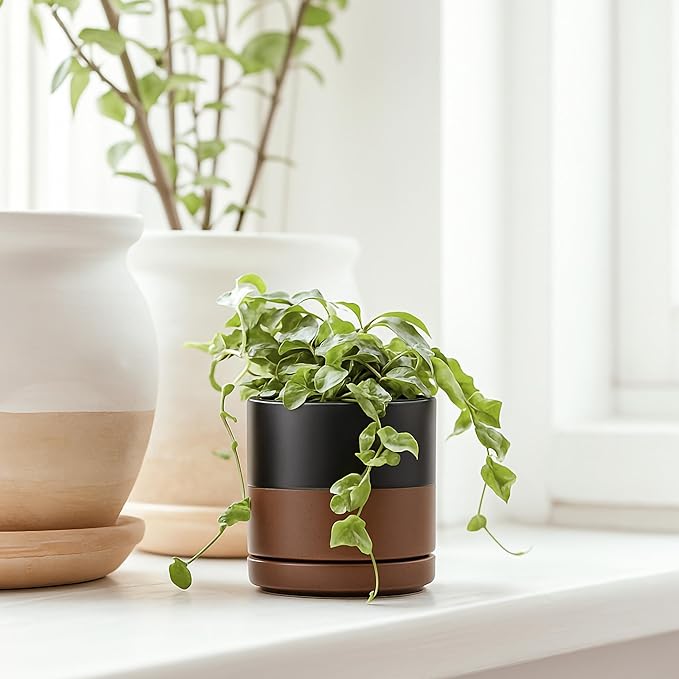 D'vine Dev Set of 4 Small Ceramic Plant Pots, 3.5 Inch Succulent Planter Pot for Plants with Drainage Hole and Saucer, Black/Speckled Tan, 94-X-A-7