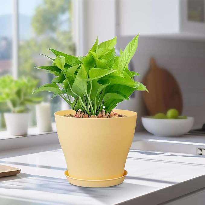 6 inch Plastic Nursery Pots, 16 Pack Plant Pots for Small Indoor Outdoor Plants, Flower Pots with Drainage Holes and Saucers, Decorative Seedling Starter Planters for House Plants, Colorful