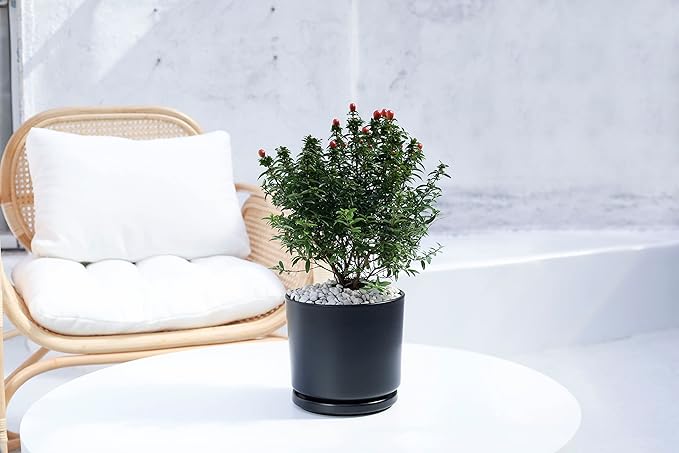 Ekirlin 7 inch Plant Pots,Ceramic Flower Planters Indoor,Modern Succulents Containers with Drain Hole Saucer,Decorate Home,Office & Outdoor (Black)