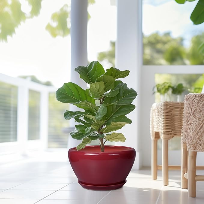 Ceramic Planter - Indoor Plant Pot with Drainage Hole and Saucer 13 Inch Large Pots for Plants Round Modern Outdoor Flower Pot Mid-Century Patio Room Decor Red