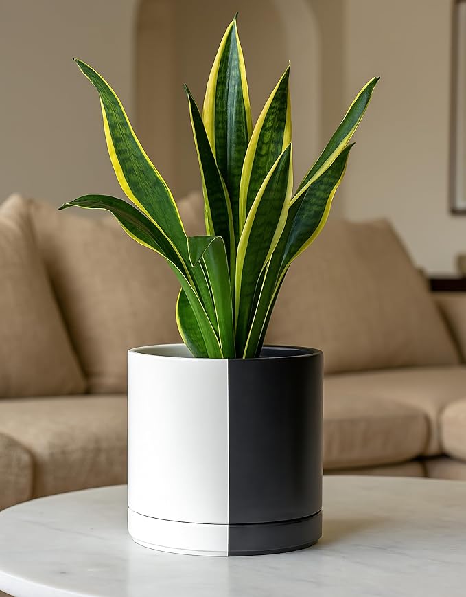 D'vine Dev 8.2 Inch Ceramic Planter Pot with Drainage Hole and Saucer, Indoor Cylinder Round Planter Pot, Split Monochrome Black & White, 94-O-D-0