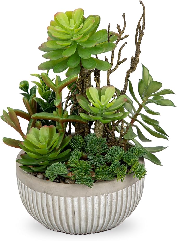 DILATATA Small Faux Plant Assorted Fake Succulents Plants Faux Succulents Arrangement Cement Potted Desk Plants Small Fake Plants for Home Table Office Bathroom Shelf Living Room Decor