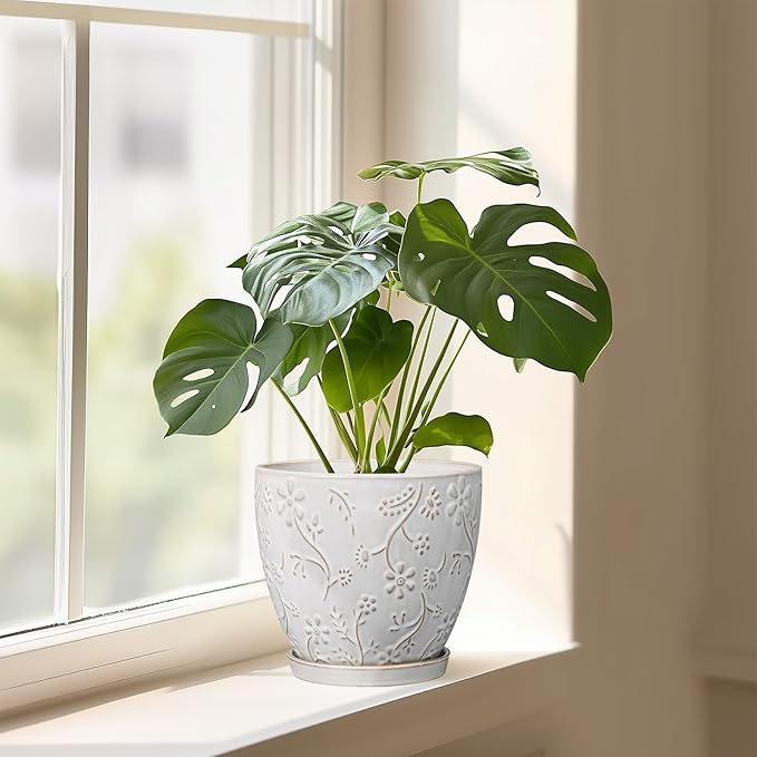 8 Inch Ceramic Pots for Plants Large Planter Pot with Drainage Hole and Saucer Round Flower Pot for Indoor Outdoor Decor, White