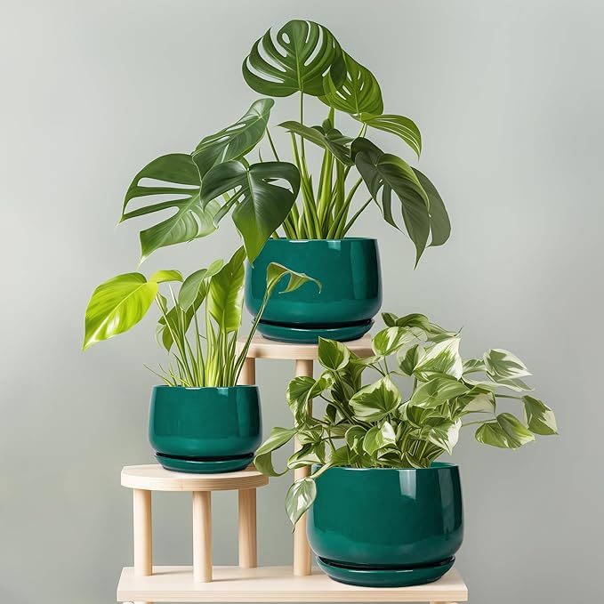 G EPGardening 6 Inch Plant Pot - Ceramic Planter for Indoor Plants, Round Planter with Drainage and Ceramic Tray, Flower Pots for Outdoor, Modern House Decor, Gift for Men Women, Green