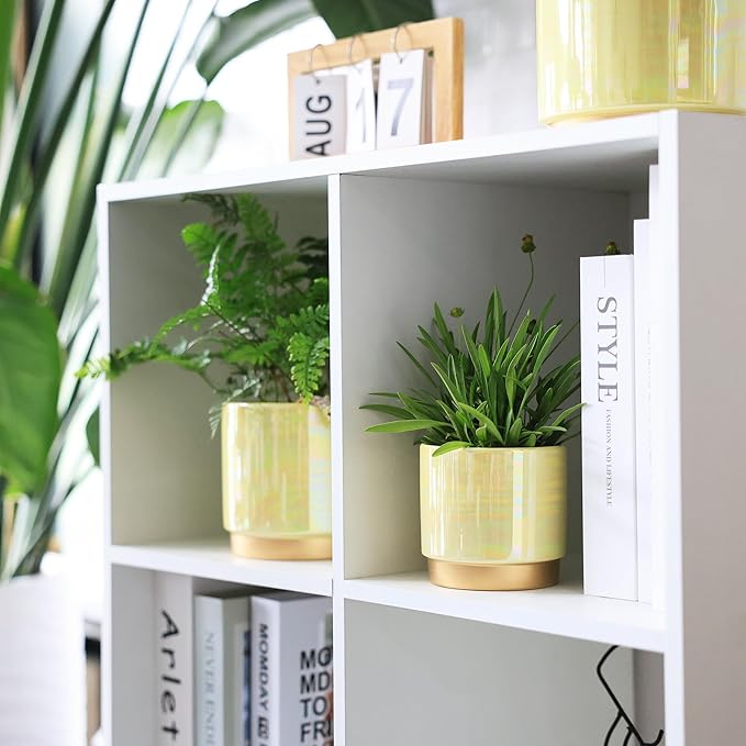 Gepege Indoor Pots for Plants, Ceramic Planter with Drainage Hole, 6.0 inch+5.0 Inch+4.0 Inch. Succulent Orchid Flower Pot - Rainbow Pearl Glaze