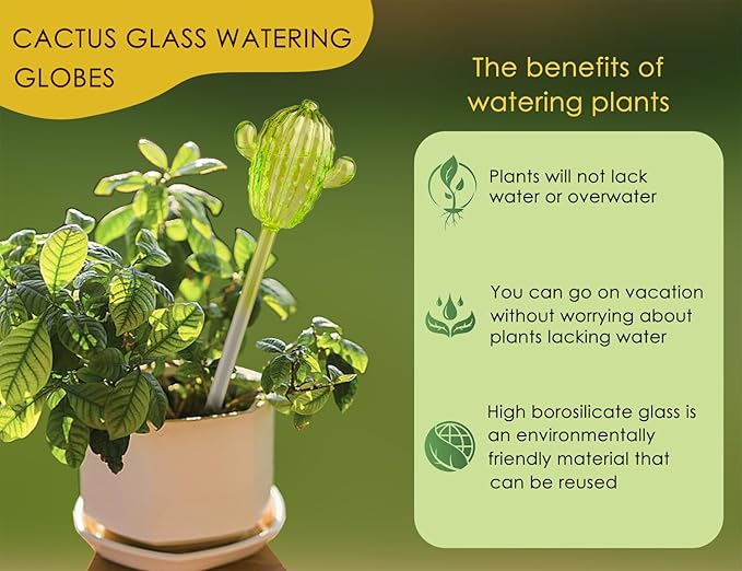 Ahhute Plant Watering Globes, Cactus Self Watering Globes, Glass Self Watering Planter Insert, Cacti Plant Watering Devices, Automatic Plant Waterer Indoor, Watering Bulbs, 2 Pack