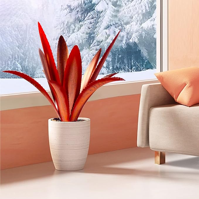 Enlarge Thickened Wind Resistant Metal Agave Garden Art Metal Plant Country Garden Sculpture Statue Outdoor Decoration Agave Metal Plant Courtyard Garden Lawn Ornament Gift (1, 12 Leaves red)