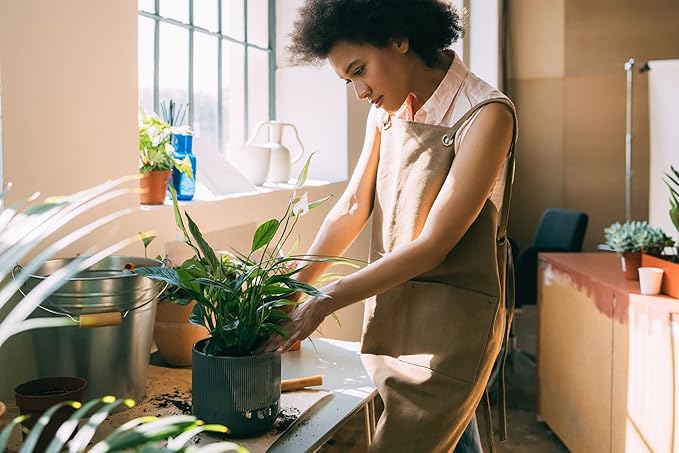 Gardenera's Expert Blend for Peace Lilies: Canadian Peat Moss, New Zealand Bark, Perlite, Bamboo Charcoal Ideal for Indoor Plants - [1-Quart Bag]