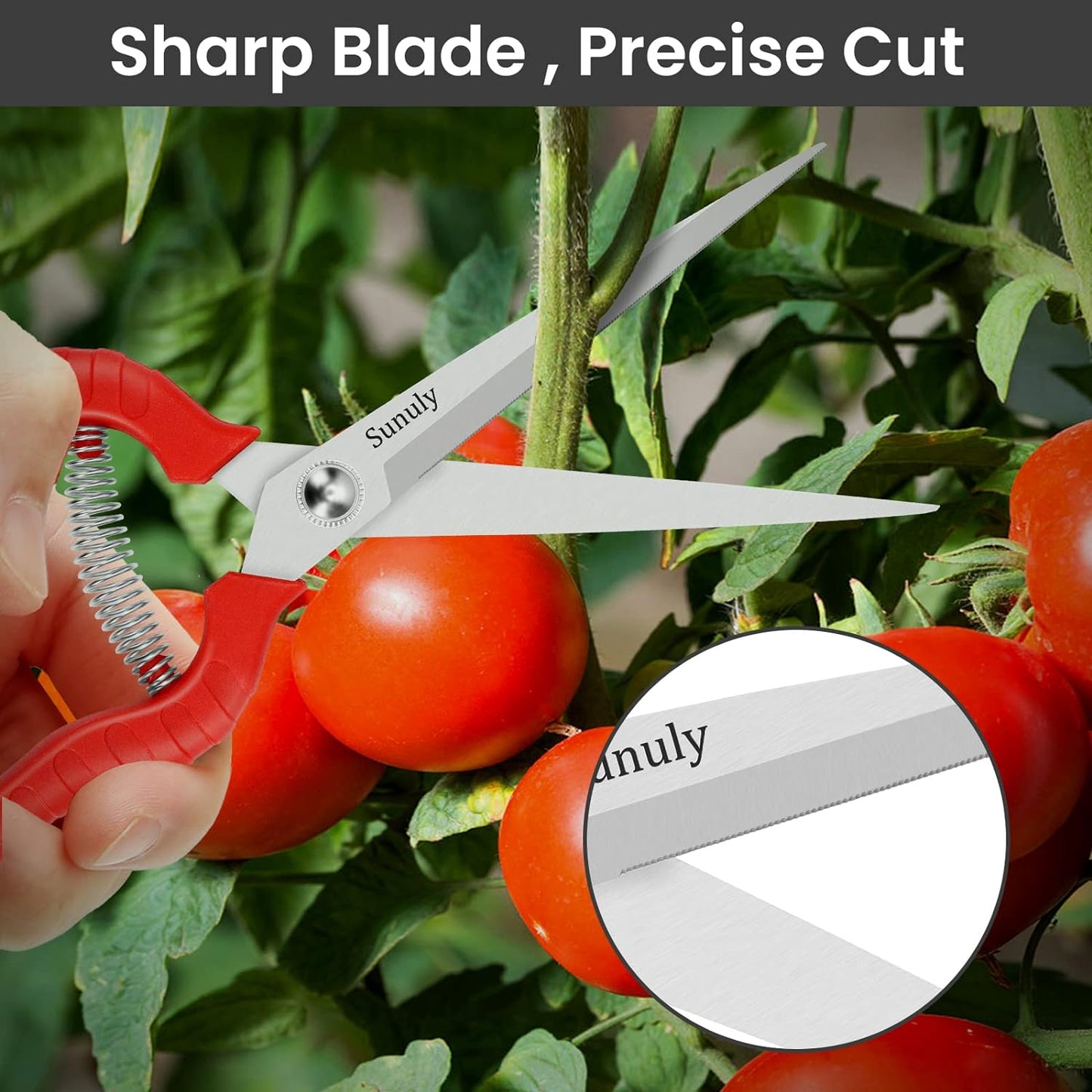 Extra Long Pruning Shears, Gardening Hand Pruners with Stainless Steel Blades, Garden scissors for Arranging Flowers, Trimming Plants, Harvesting Herbs, Fruits or Vegetables, 9.5IN