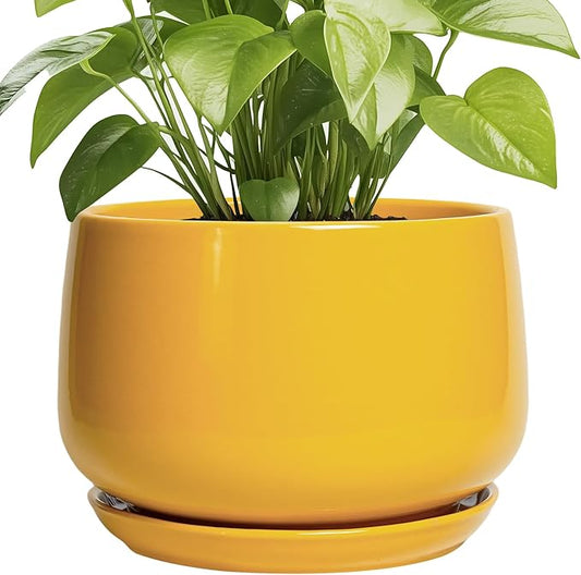 G EPGardening Ceramic Flower Pot - 9 Inch Plant Pots for Indoor Outdoor Plants, Round Ceramic Planter with Drainage and Plant Saucer, Modern Planter, Home Office Decor, Garden Gifts, Yellow