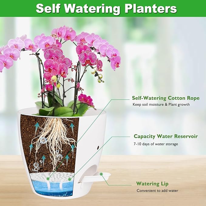 6 Inch Orchid Pots with Holes, 2 Pack Self Watering Planters for Orchids Plastic Orchid Pot Plant Flower Pots for Orchids Indoor Outdoor (White)