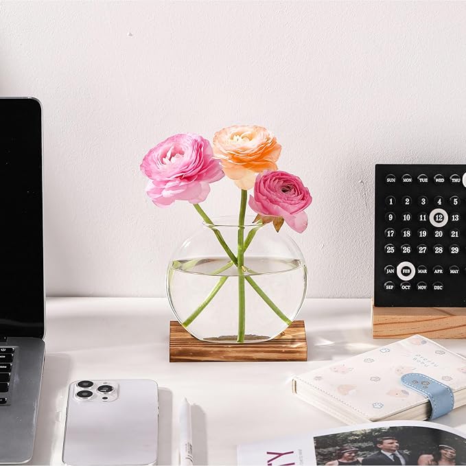 4 Pack Plant Propagation Station with Wooden Base Glass Terrariums for Indoor Plants Decorative Round Vases for Flowers Hydroponic Planter for Home Office Decor