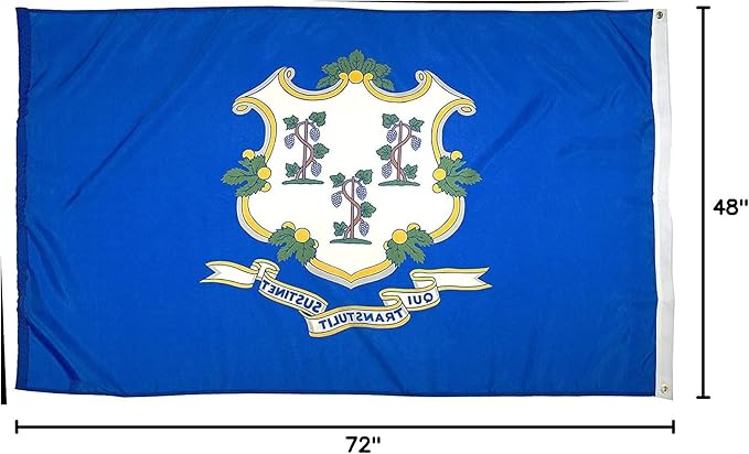 FlagSource Connecticut Nylon State Flag, Made in USA, 4x6'