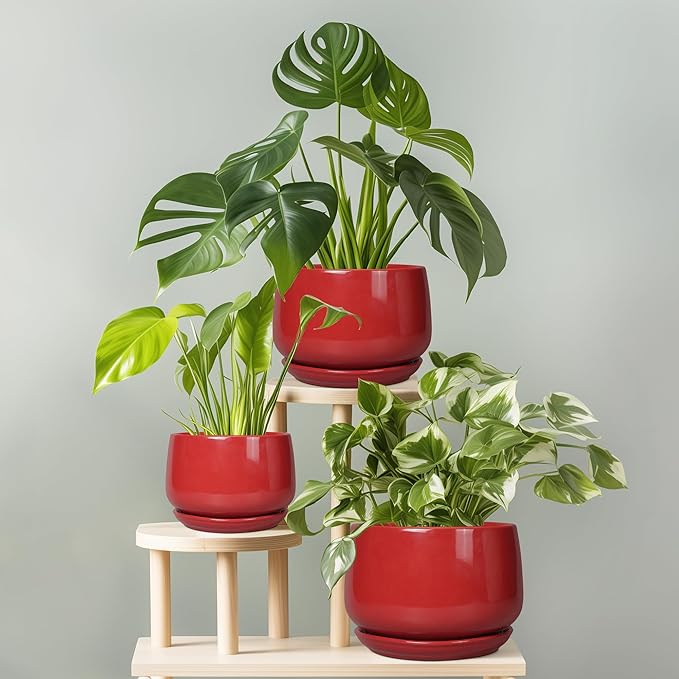 G EPGardening Ceramic Planter 7 Inch - Flower Pots for Indoor Plants, Round Planter with Drainage and Ceramic Tray, Modern Plant Pot, Bathroom Decor, Teacher Gifts, Red