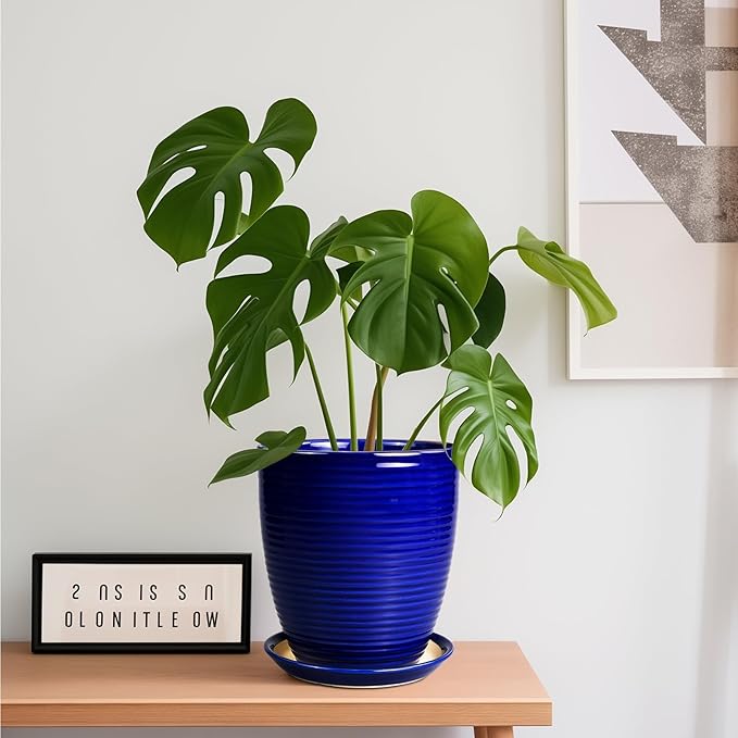 Ceramic Planter Pot - 8 Inch Plant Pot with Drainage Hole and Tray Round Planter Modern Flower Pot for Indoor Outdoor Plants Decorative Garden Pot Blue