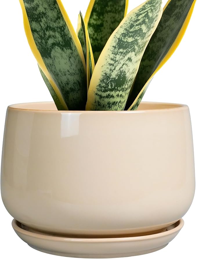 G EPGardening Ceramic Planter - 7 Inch Plant Pots with Drainage and Ceramic Tray, Flower Pots for Indoor Plants, Round Outdoor Planter, Room Decor, Gifts for Plant Lovers, Beige