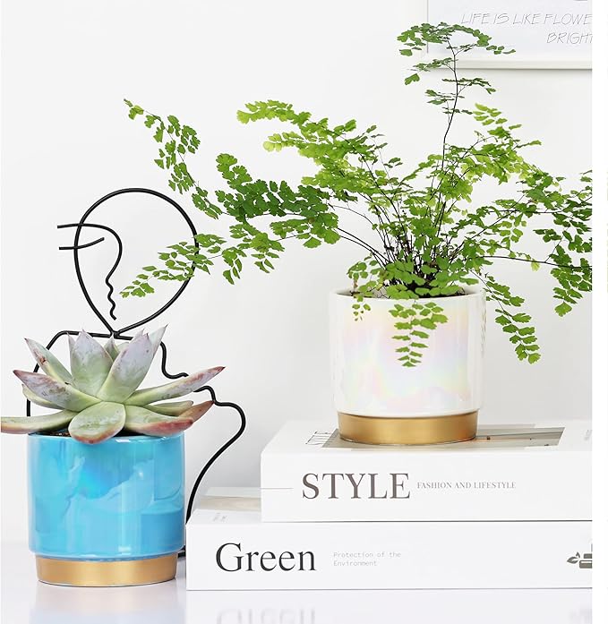 Gepege Succulent Pots for Plants, Succulent Planter with Drainage Holes, Ceramic Pot for Indoor Plant, Set of 4