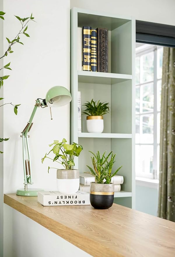 Dahey 3 Pack Small Cement Succulent Planter Pots 4 Inch Modern Mini Concrete Flower Pots Indoor Outdoor for Cactus Herb or Small Plants Home Decor