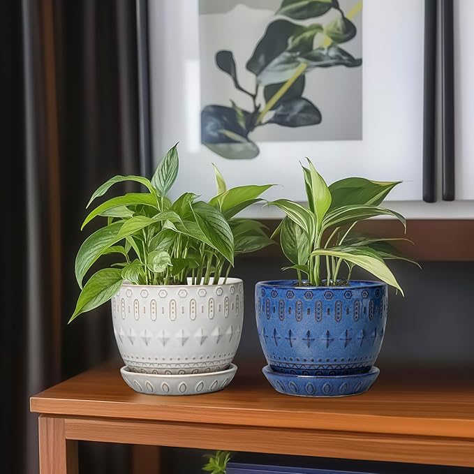 G EPGardening Ceramic Plant Pot - Succulent Pots with Drainage Hole and Saucer 5 Inch Planter for Indoor Plants Outdoor Decorative Round Flower Pot White