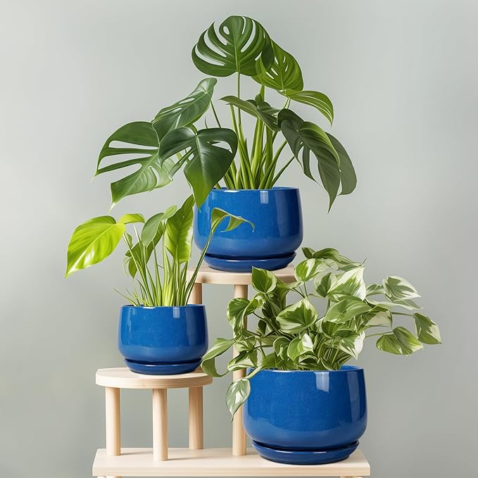 G EPGardening Round Ceramic Plant Pots - 7 Inch Modern Planter with Drainage and Plant Saucer for Indoor Outdoor Flower, Round Office Decor, New Gifts for Home, Blue