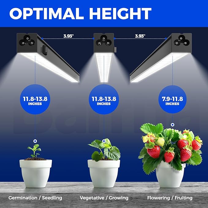 Barrina Plant Grow Lights, 5000K Full Spectrum Daylight White, T5 LED Grow Light Strips, 1ft Growing Lamp with Magnetic Bar, Plant Lights for Indoor Plants, Greenhouse, Black Cover, Linkable, 8 Packs