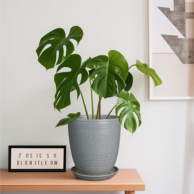 8 Inch Plant Pot Ceramic Planter Pot with Drainage Hole and Saucer Modern Round Flower Pot for Indoor Plants Light Gray