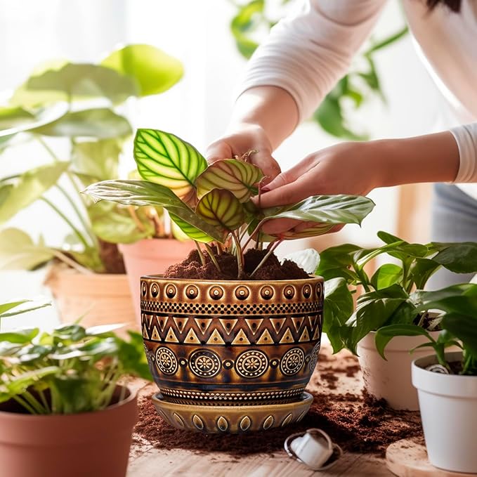 G EPGardening Ceramic Pot for Plants 5.5 Inch - Ceramic Plant Pot with Drainage Hole and Saucer, Boho Round Planter for Indoor Outdoor Plants, Plant Lover Gifts, Office Garden House Decor, Brown