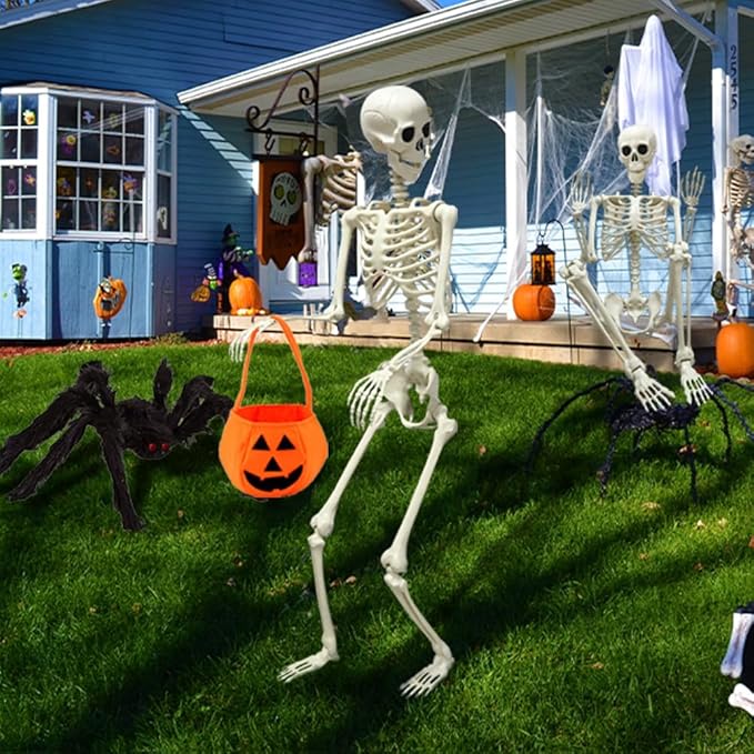 DINESIL 5.4ft/165cm Halloween Skeleton, Halloween Life Size Skeleton with Spider Pumpkin Bag, Full Body Human Bones with Movable Joints for Halloween Indoor Outdoor Haunted House Decorations