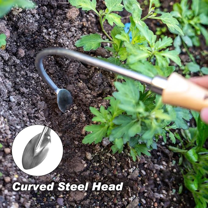 Berry&Bird Weed Puller Tool, Crack Weeder Cultivator Garden Hand Tools, Durable Curved Head Hook & Wooden Handle, Garden Digging, Edging, Planting Remover Tool for Patio Lawn Yard Moss Terrace Paving
