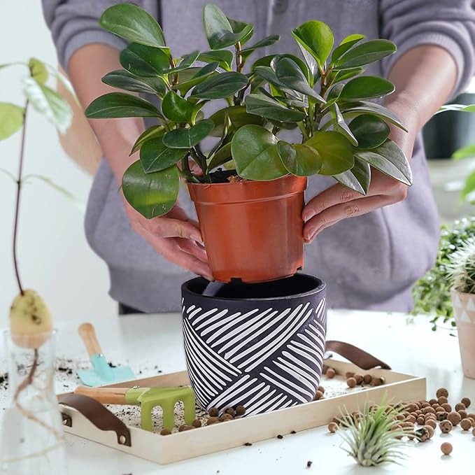 6 Inch Boho Planter Pots with Drainage Holes, 2 Pcs Terracotta Pots, Ceramic Plant Pots for Indoor Plants, Ferns, Vines, Succulents, and Outdoor Plants Growing, Gift for Plant Lovers（Black）