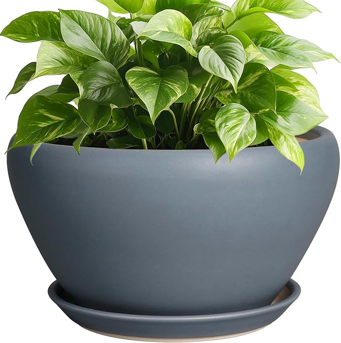 Ceramic Pots for Plants - 9 Inch Planter for Outdoor Plants Large Plant Pot Indoor with Drainage Hole and Saucer Decorative Modern Flower Pot for Home Garden Decor Gray
