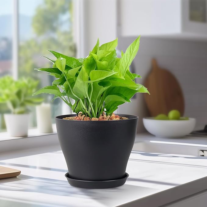 6 inch Plastic Nursery Pots, Seedling Pots, 16 Pack Plant Pots for Small Indoor Outdoor Plants, Flower Pots with Drainage Holes and Saucers, Decorative Planters for House Plants, Black