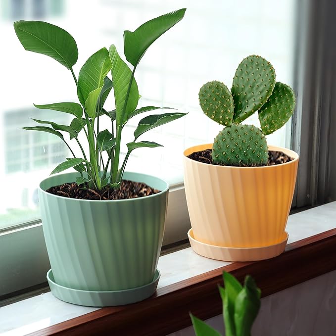 6 Inch Plant Pots Bulk, 6 Pack Plastic Planters with Drainage Holes and Saucers for Indoor Outdoor House Plants and Flowers, Colorful